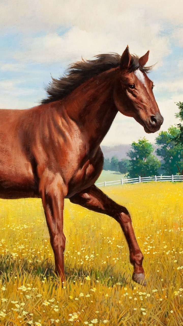 Cheval Brun Sur Terrain D'herbe Verte Pendant la Journée. Wallpaper in 720x1280 Resolution