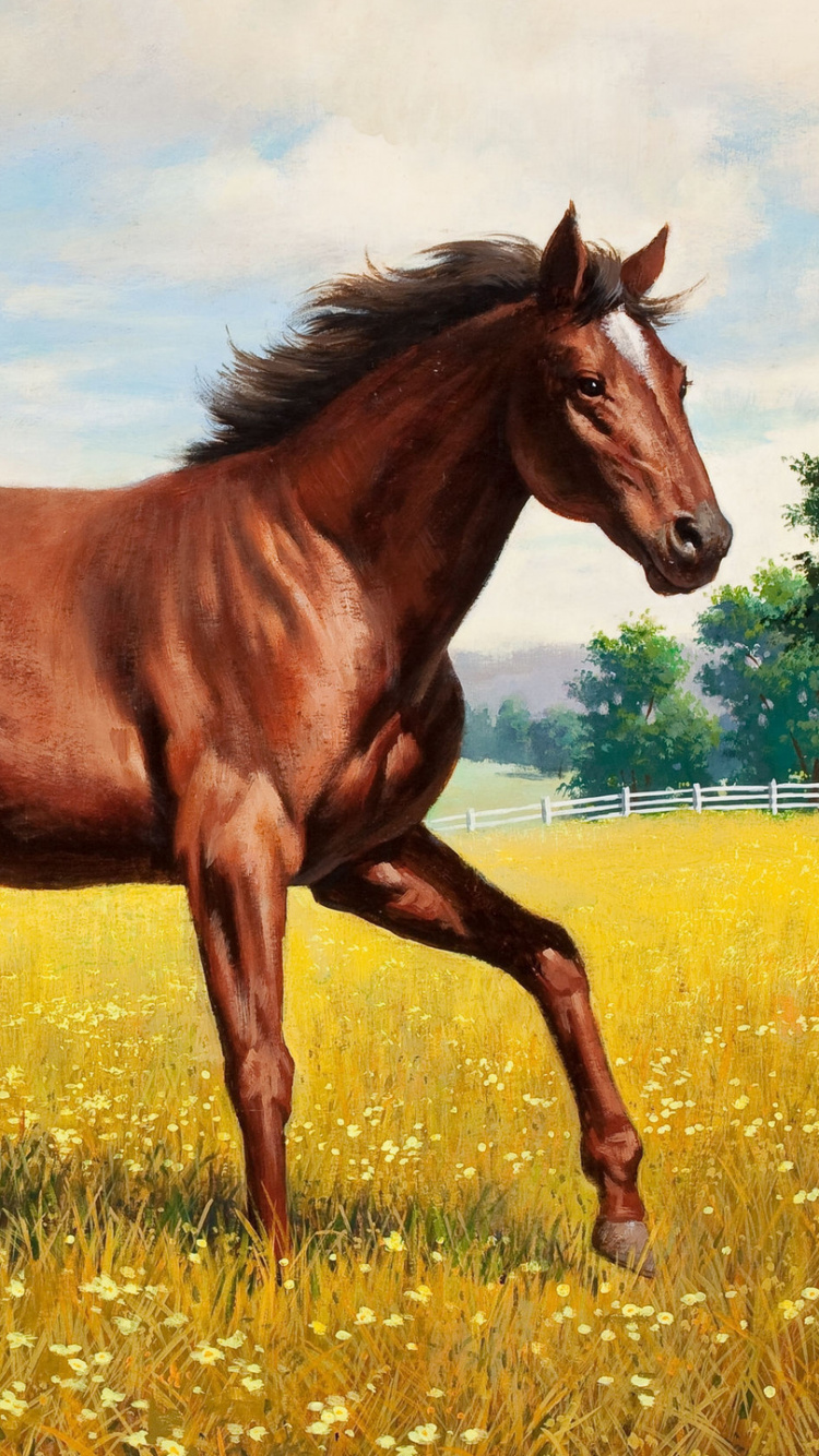 种马, 小马驹, Mare, 鬃毛, 野马马 壁纸 750x1334 允许