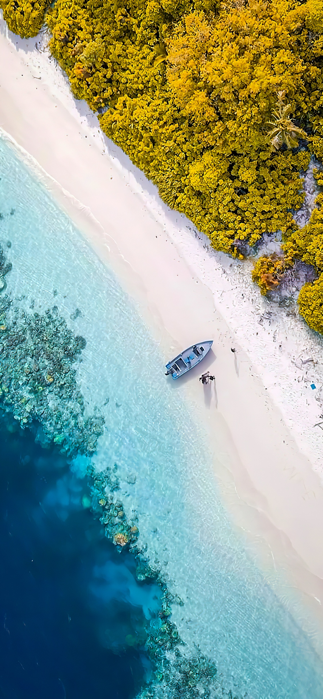 Réflexion, Les Ressources en Eau, Mathématique, Transformation, Eau. Wallpaper in 1125x2436 Resolution