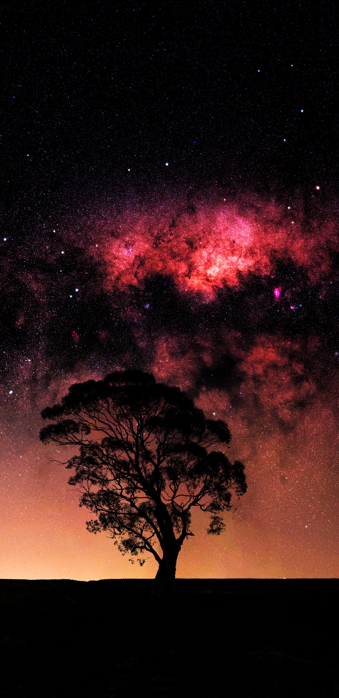 Milky Way, Galaxy, Nebula, Cloud, Atmosphere. Wallpaper in 1440x2960 Resolution