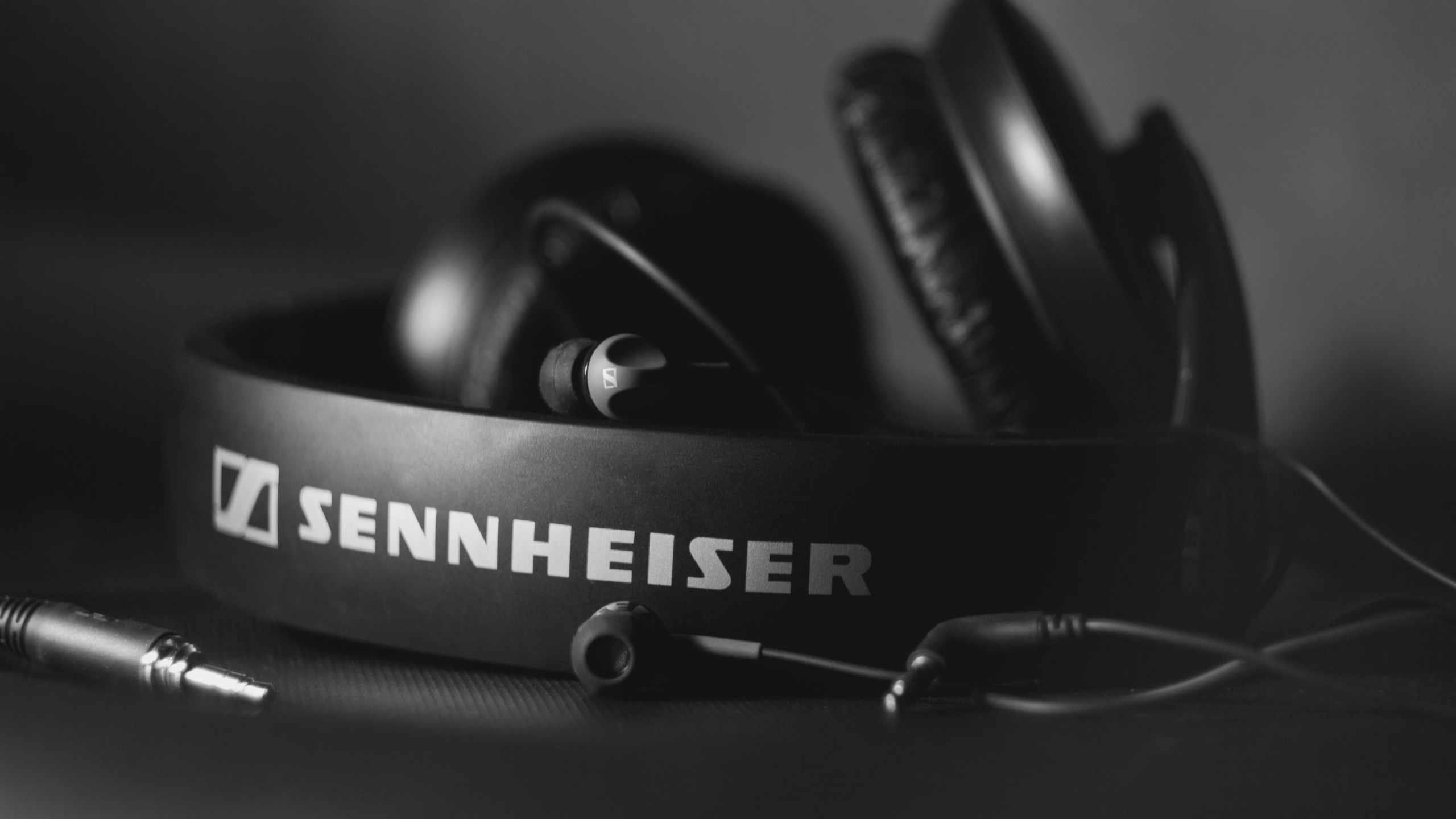 Headphones, Black and White, Sennheiser, Headset, Audio Equipment. Wallpaper in 2560x1440 Resolution