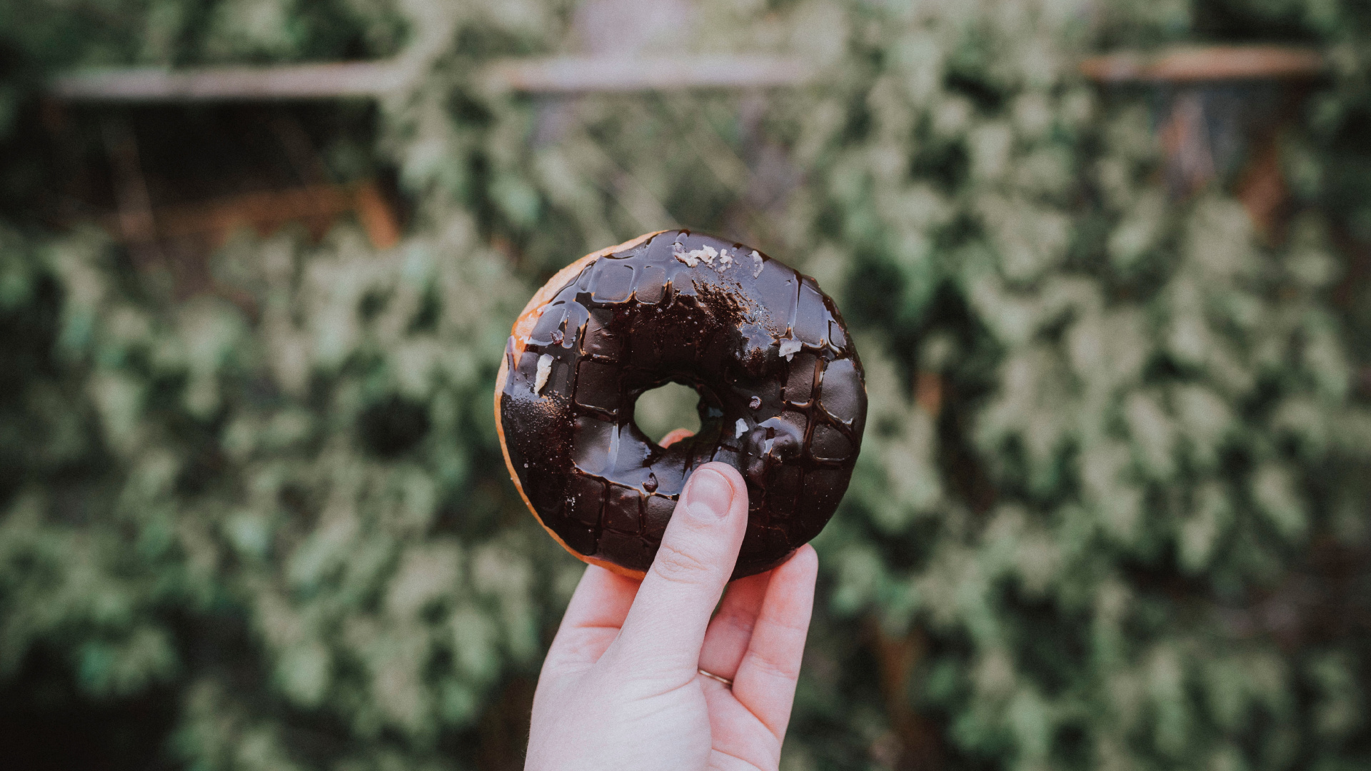 Person Holding Chocolate Coated Doughnut. Wallpaper in 1920x1080 Resolution