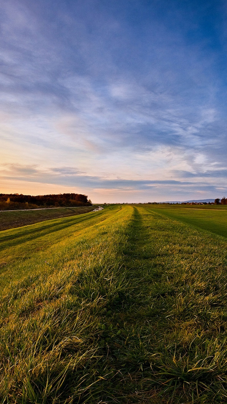 Tagsüber Grüne Wiese Unter Blauem Himmel. Wallpaper in 750x1334 Resolution