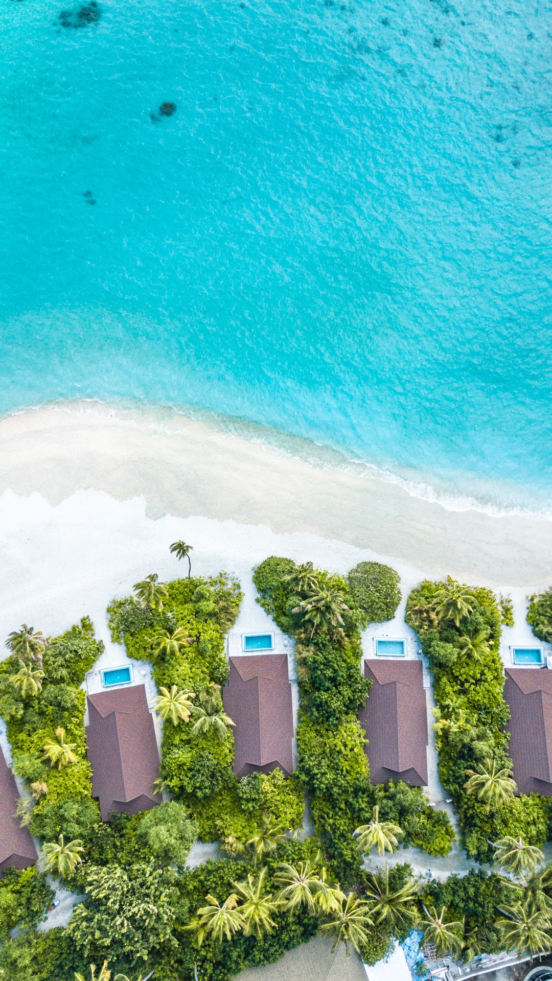 Wasser, Gr, Türkis, Sommer, Baum. Wallpaper in 1080x1920 Resolution