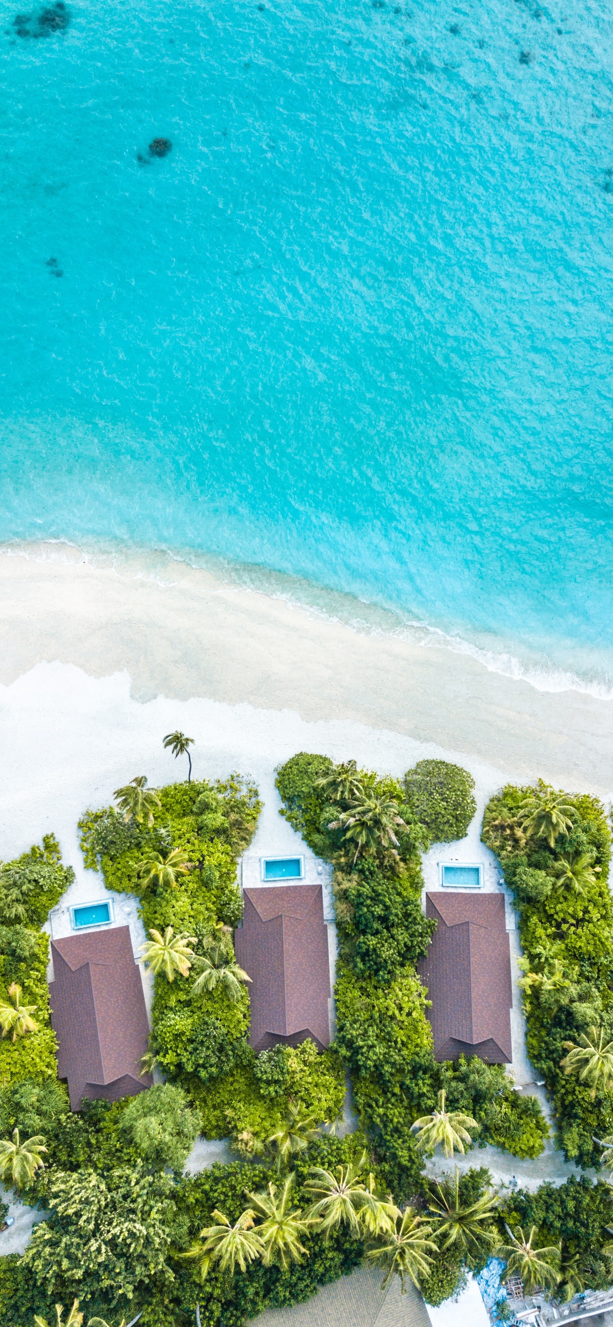 Water, Green, Turquoise, Summer, Tree. Wallpaper in 1242x2688 Resolution