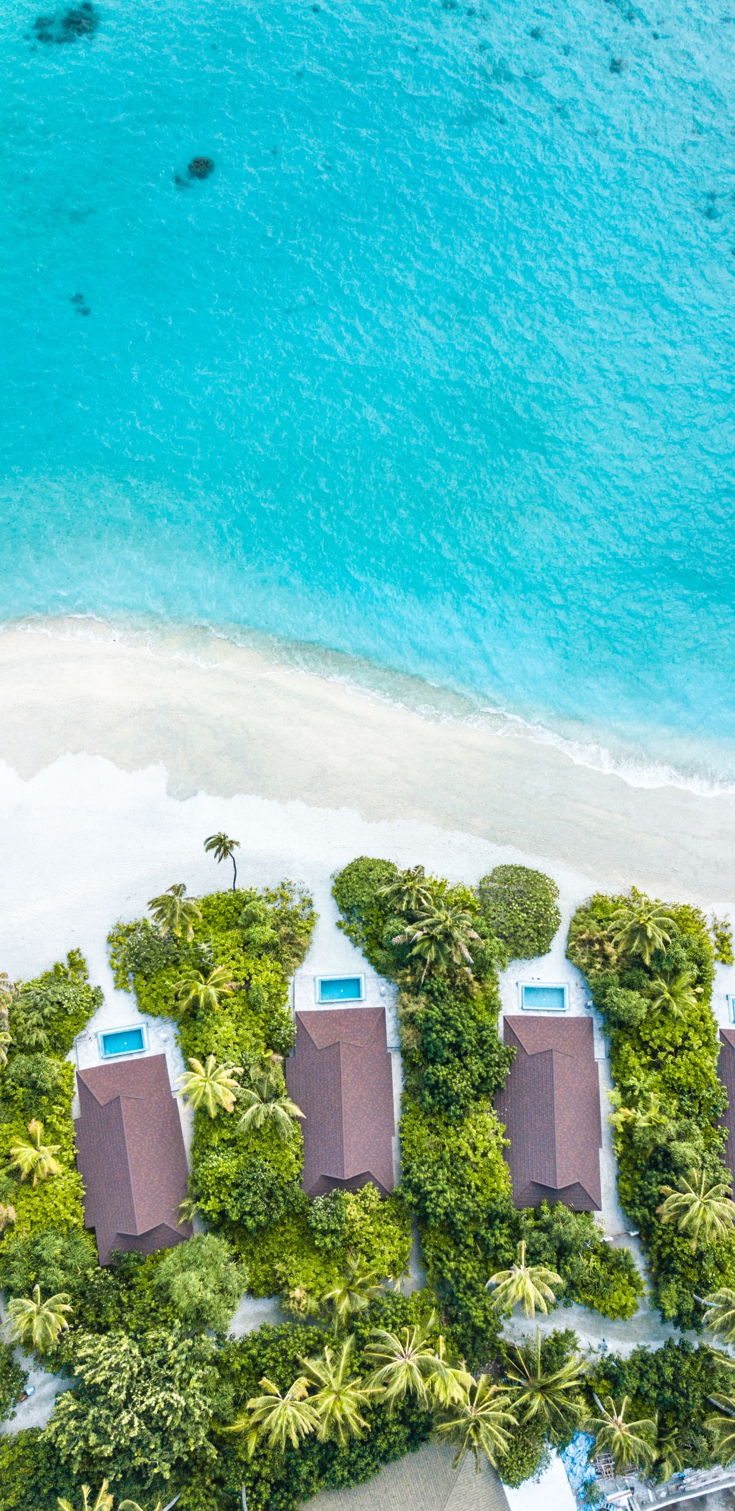 Water, Green, Turquoise, Summer, Tree. Wallpaper in 1440x2960 Resolution