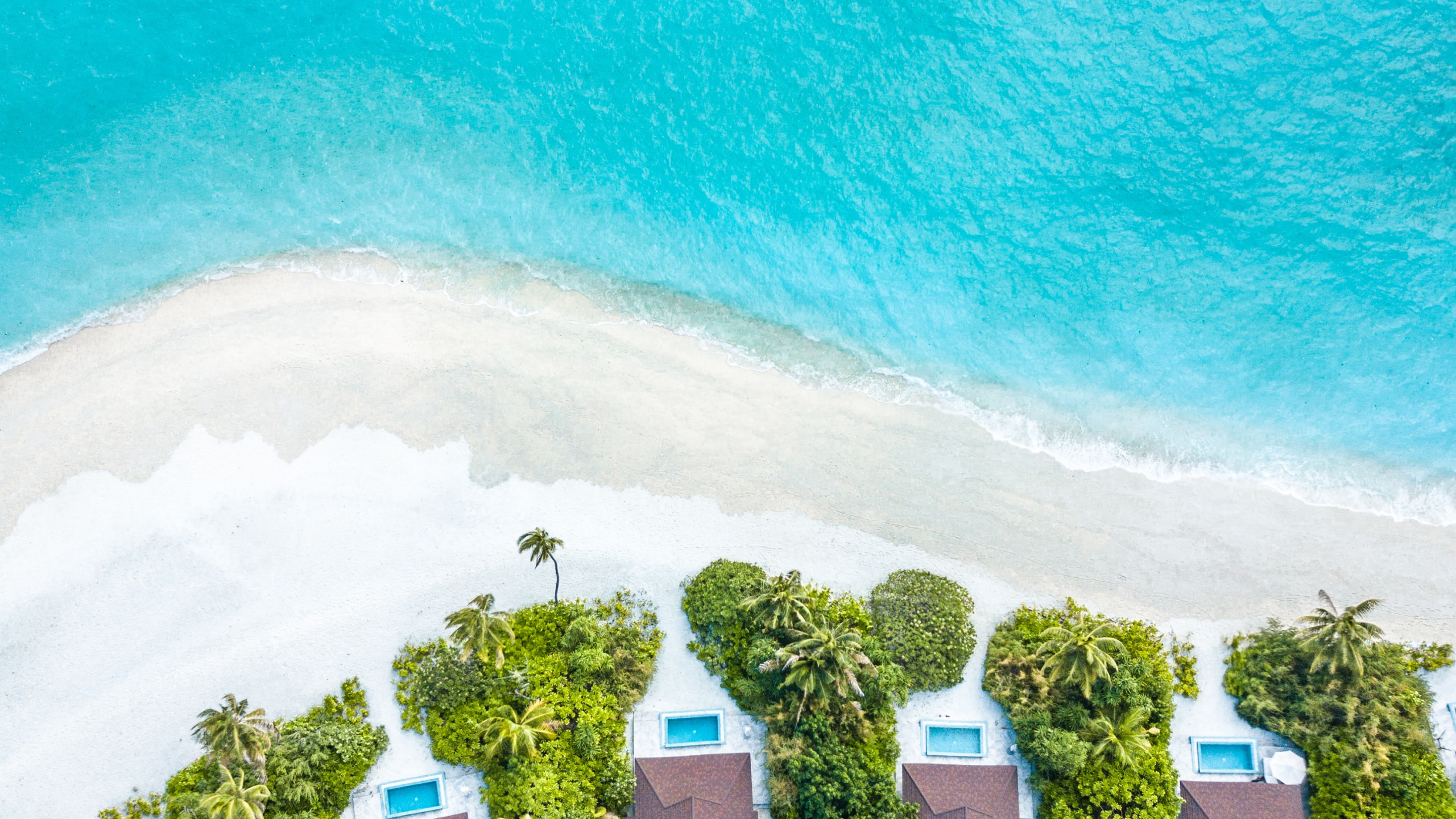 Agua, Verde, Turquesa, Verano, Vacaciones. Wallpaper in 2560x1440 Resolution