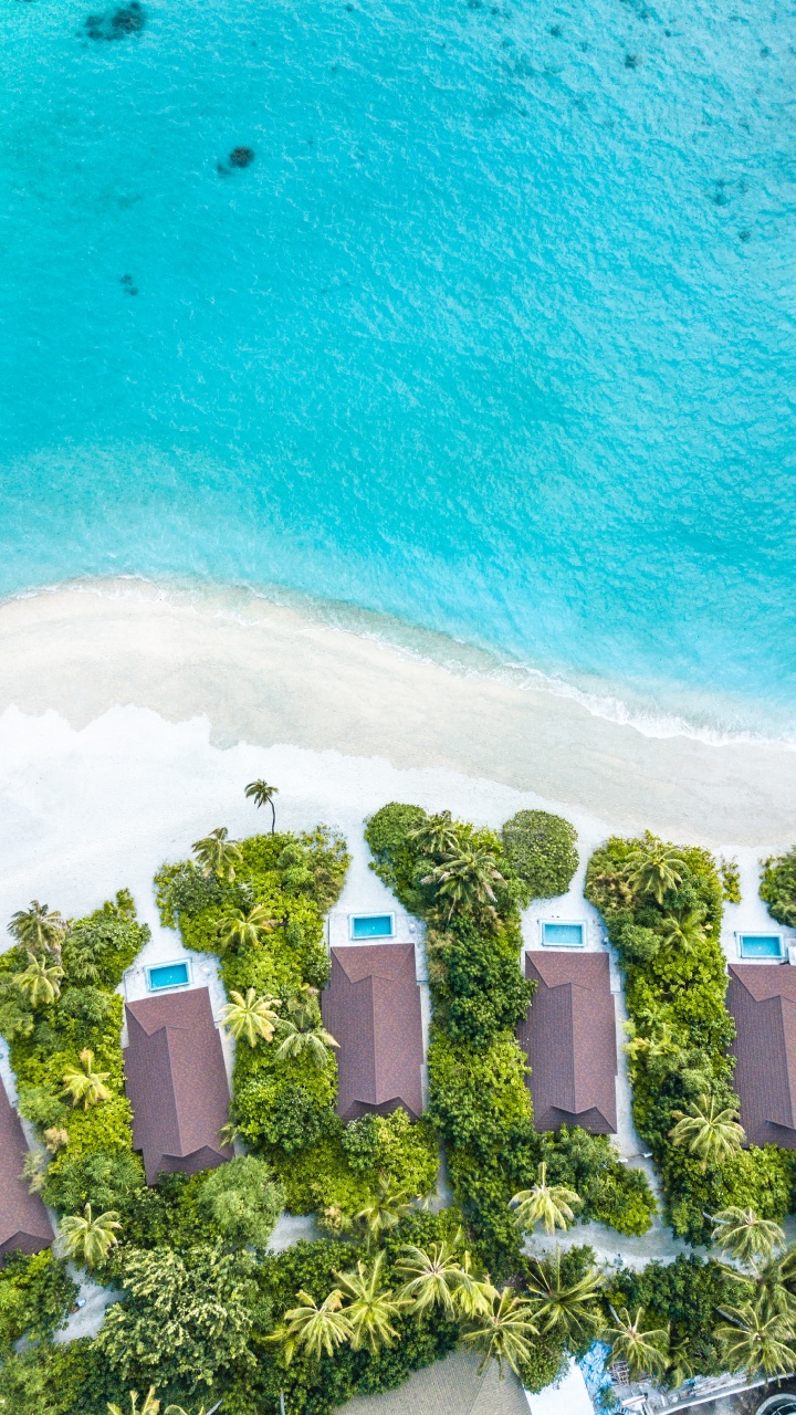 绿色的, 夏天, 度假, 沿海和海洋地貌, 休闲 壁纸 720x1280 允许