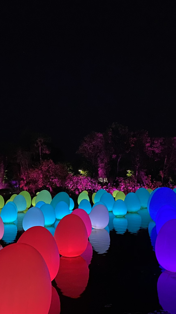 Singapore, Light, Statistics, Physics, Science. Wallpaper in 750x1334 Resolution