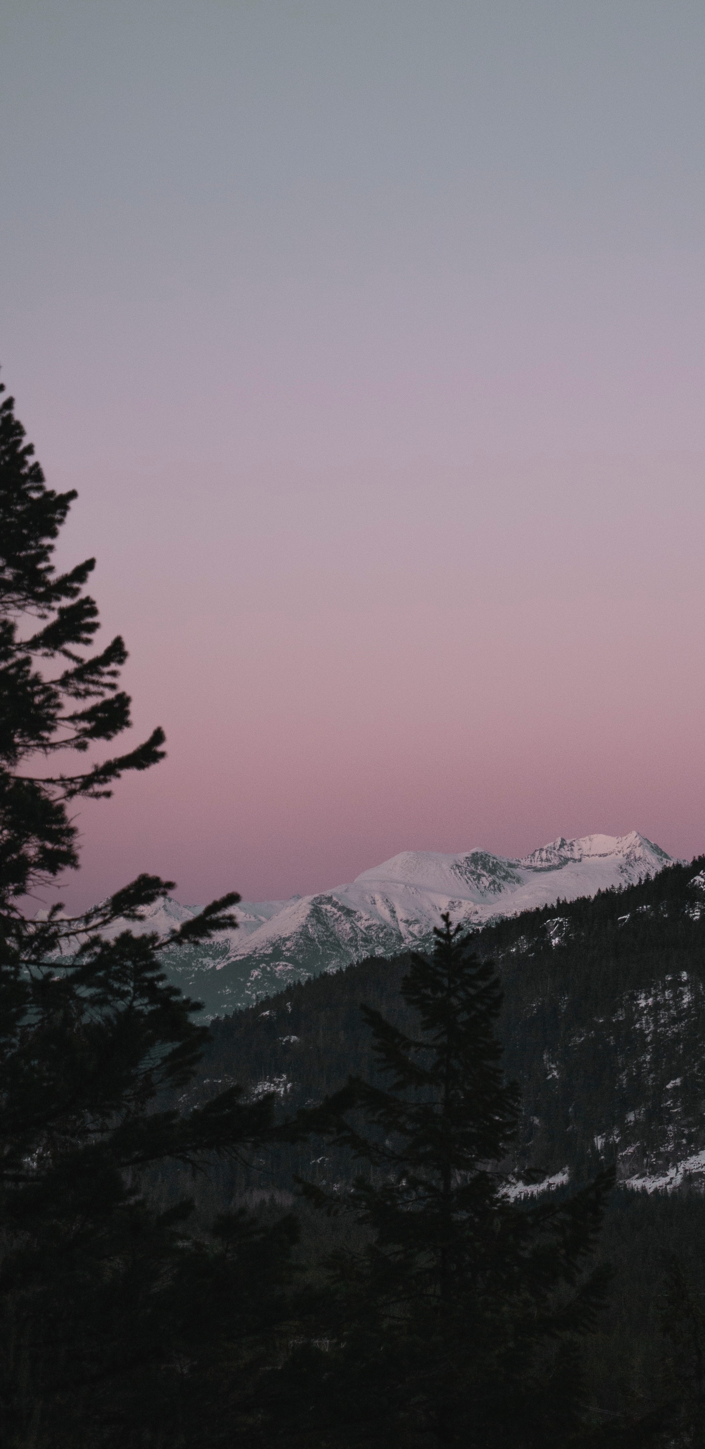 Himmel, Ste, Video, Sonnenuntergang, Wildnis. Wallpaper in 1440x2960 Resolution