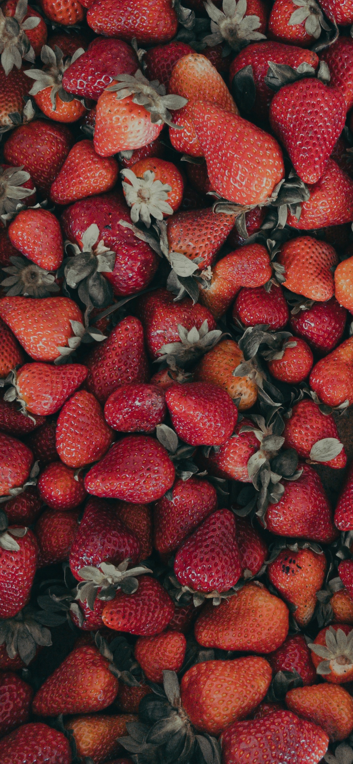 Red Strawberries on Black Textile. Wallpaper in 1125x2436 Resolution