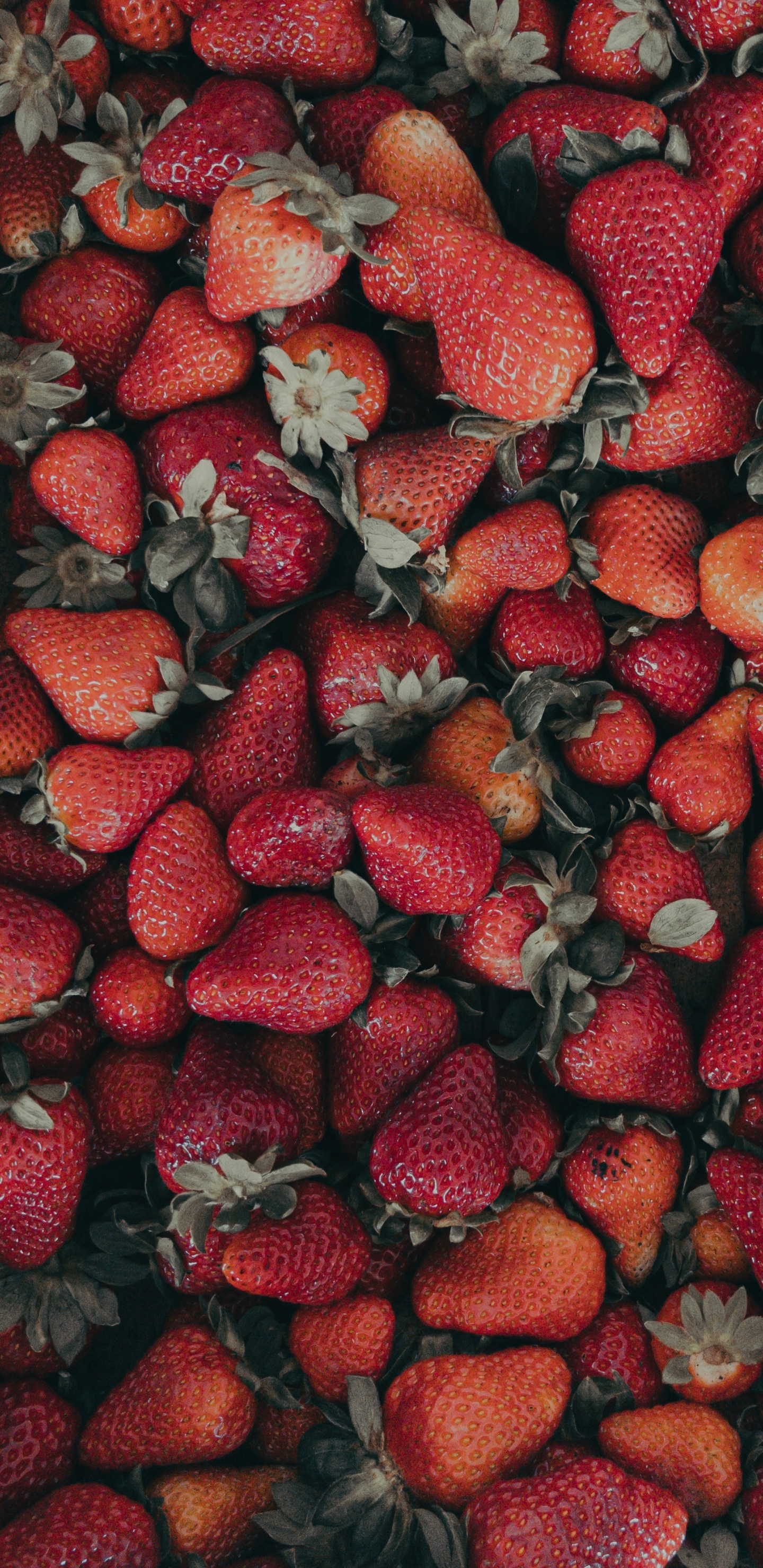 Red Strawberries on Black Textile. Wallpaper in 1440x2960 Resolution