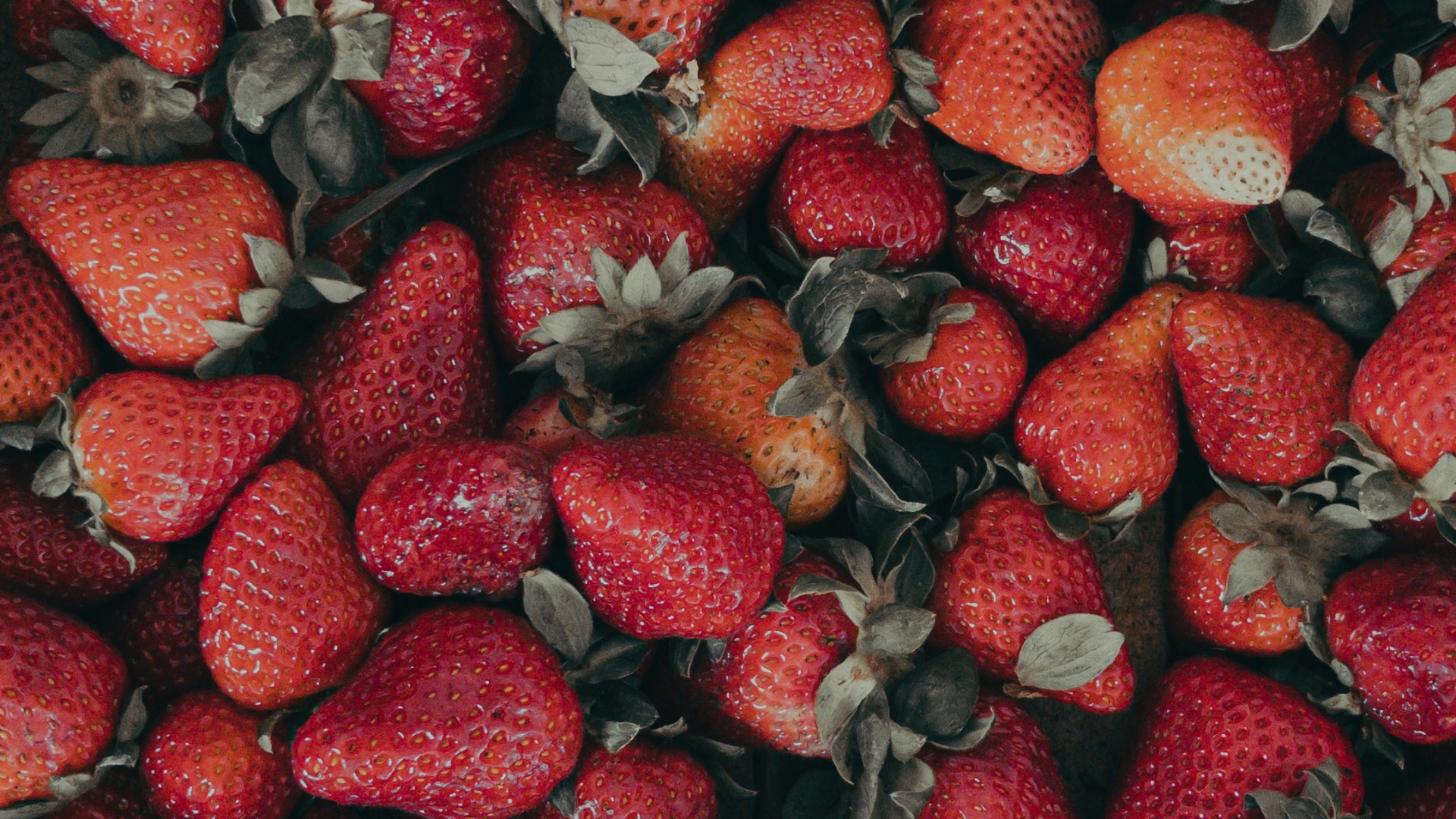 Rote Erdbeeren Auf Schwarzem Textil. Wallpaper in 1920x1080 Resolution