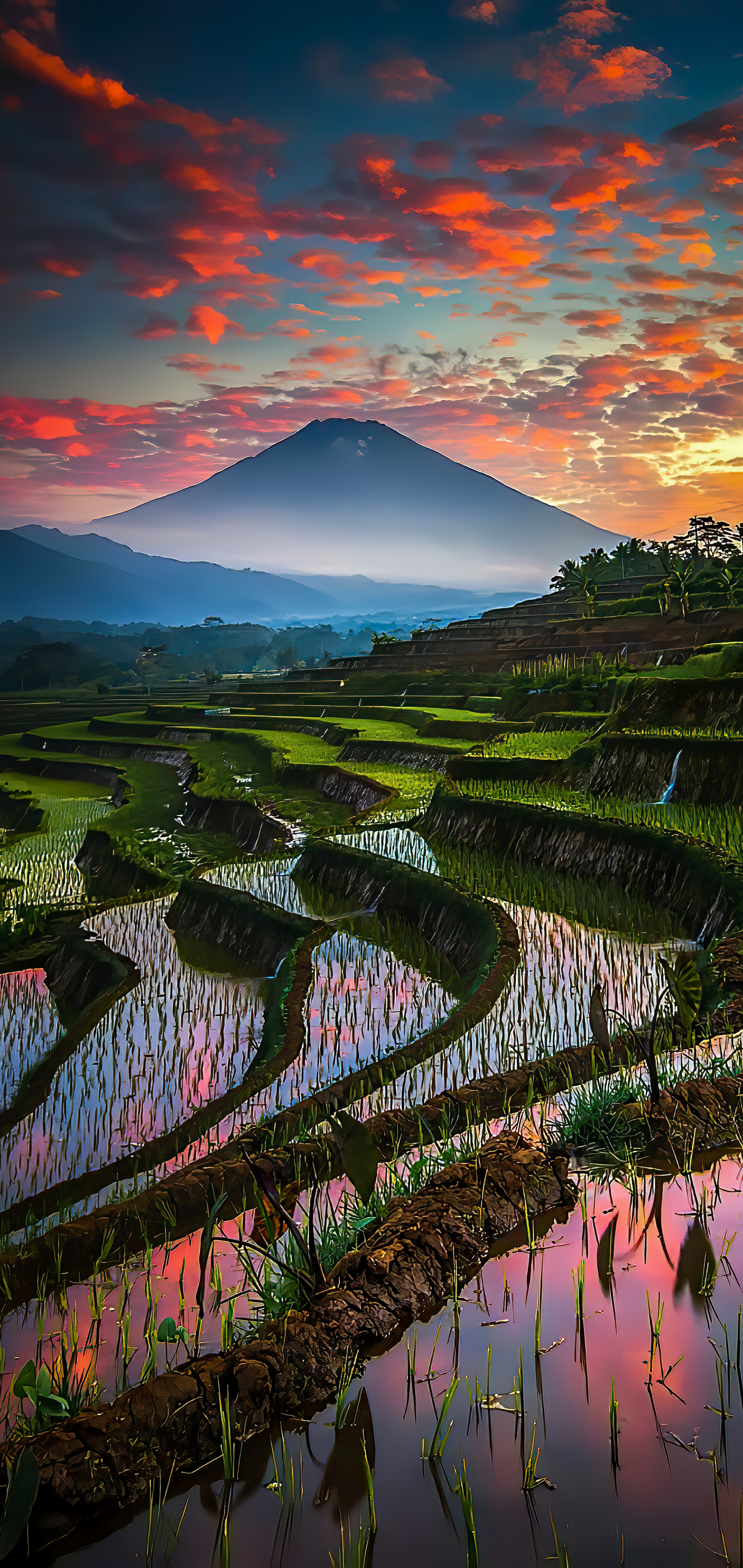 Wallpaper Bali Central Java Cloud Plant Mountain Background Download Free Image Wallpaper Bali Central Java Cloud Plant Mountain Background Download Free Image