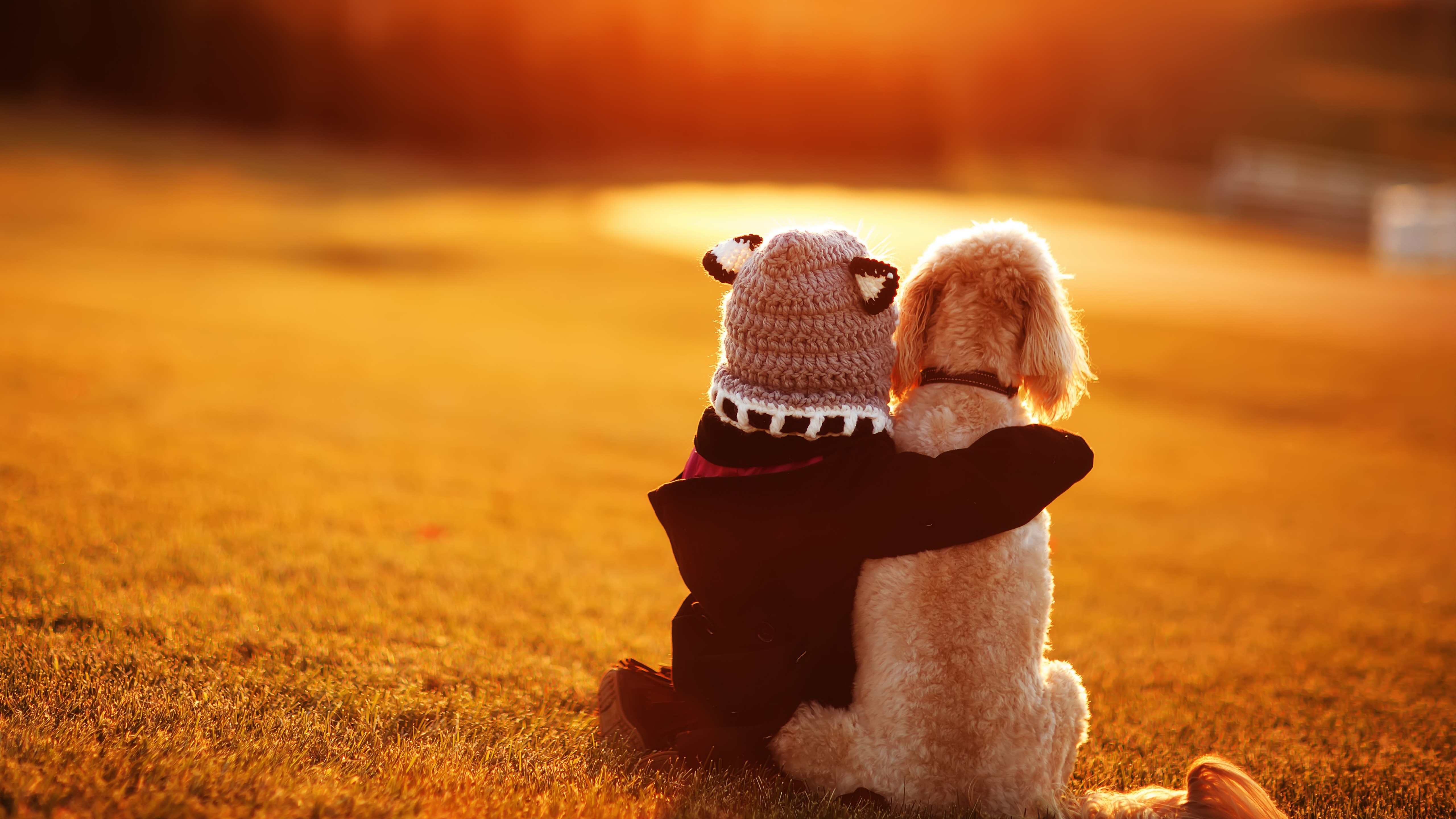 Tag Der Freundschaft Hintergrundbilder Tag Der Freundschaft Hd Bilder Fotos Kostenlos Herunterladen