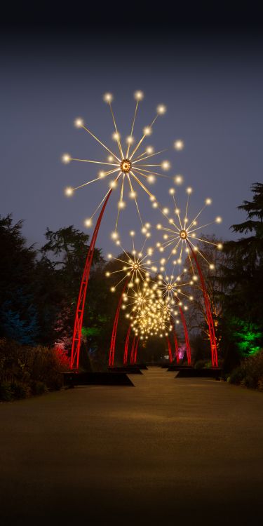 Google Pixel 3, Google Pixel 3a Wallpaper, Google Pixel 3a Xl, Pixel 4a, Google Pixel 3a. Wallpaper in 1080x2160 Resolution