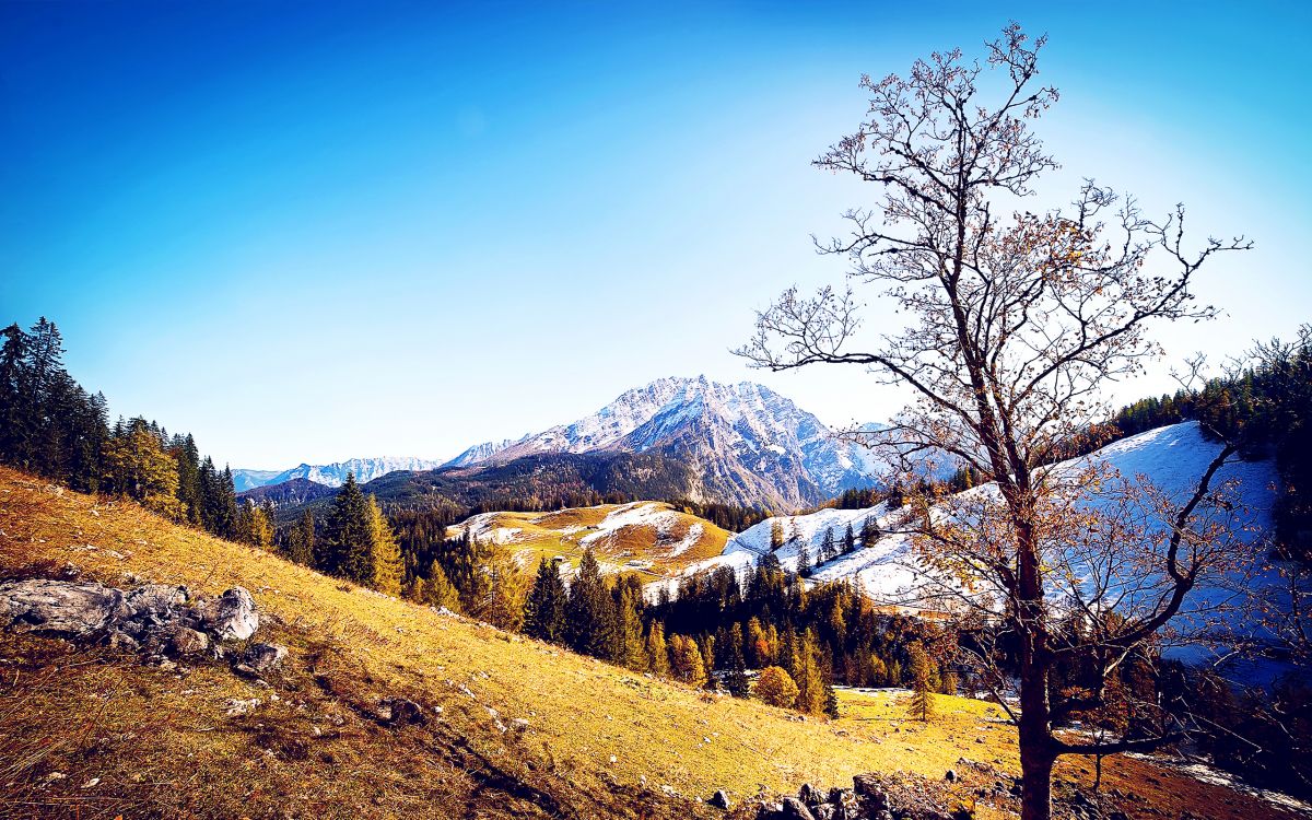 多山的地貌, 冬天, 性质, 荒野, 山脉 壁纸 2560x1600 允许