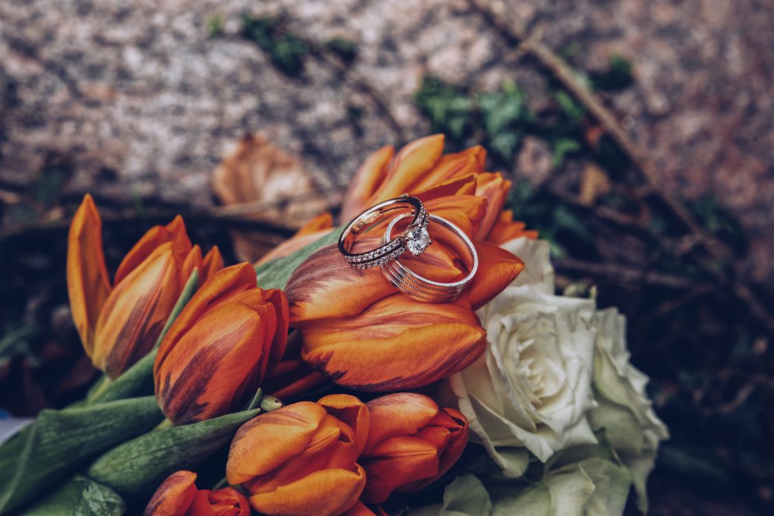 订婚戒指, 结婚戒指, 橙色, 黄色的, 的婚礼仪式供应 壁纸 4032x2688 允许