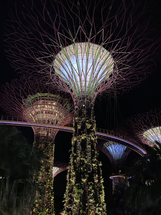 Singapur, Parque de la Ciudad Marina, Atracción Turística, Verde, Arquitectura. Wallpaper in 1536x2048 Resolution