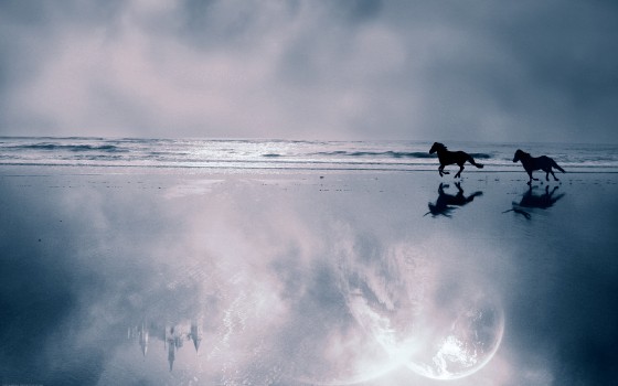 Wallpaper Person Surfing on Sea Waves, Background - Download Free Image