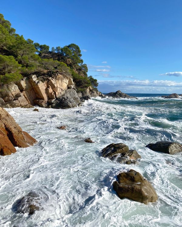 海岸, 人体内的水, 海洋, 水道, 风波 壁纸 3024x3779 允许