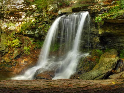 Image waterfalls in forest during daytime