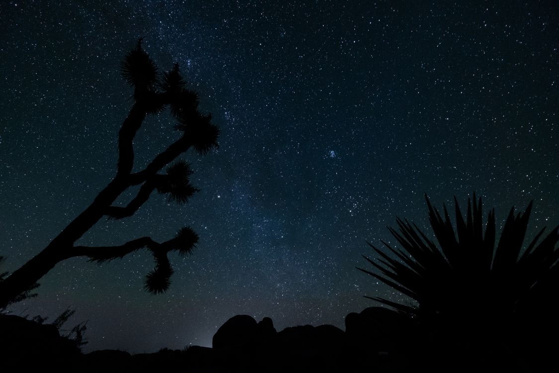 Estrella, Cielo de la Noche, Negro, Azul, Constelación. Wallpaper in 6000x4000 Resolution