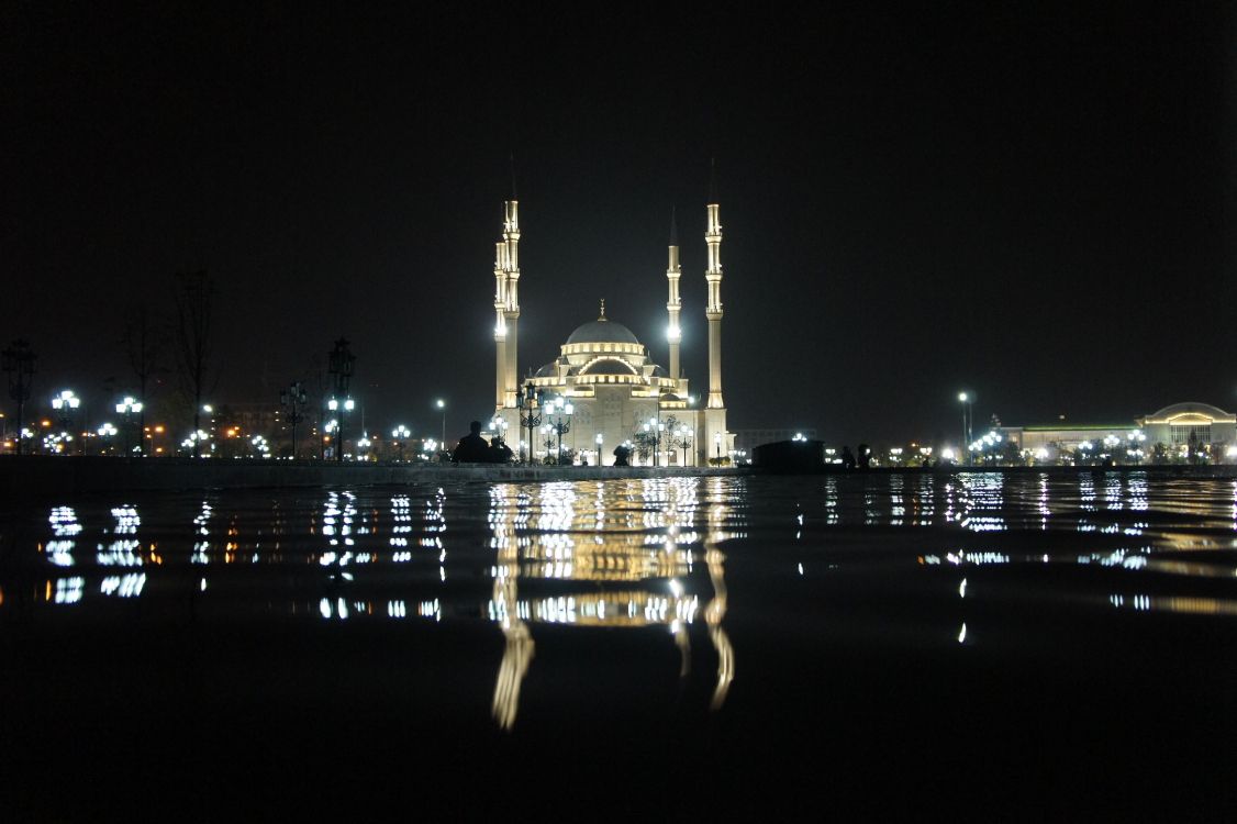 white and blue dome building during night time