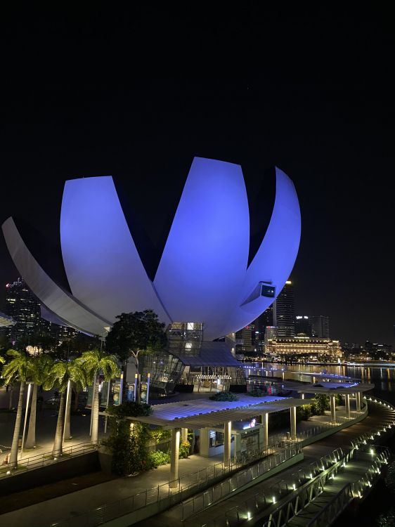 Singapour, Réflexion, Nuit, Métropole, Électricité. Wallpaper in 1536x2048 Resolution