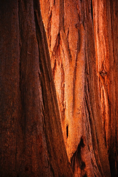 Image brown and black wooden surface