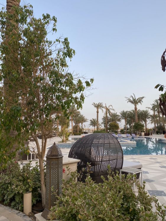 Architektur, Palme, Gebäude, Wasser, Haus. Wallpaper in 1536x2048 Resolution