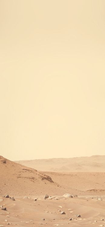 Mars, Perseverence, Brown, Ökoregion, Natürlichen Umgebung. Wallpaper in 1242x2679 Resolution