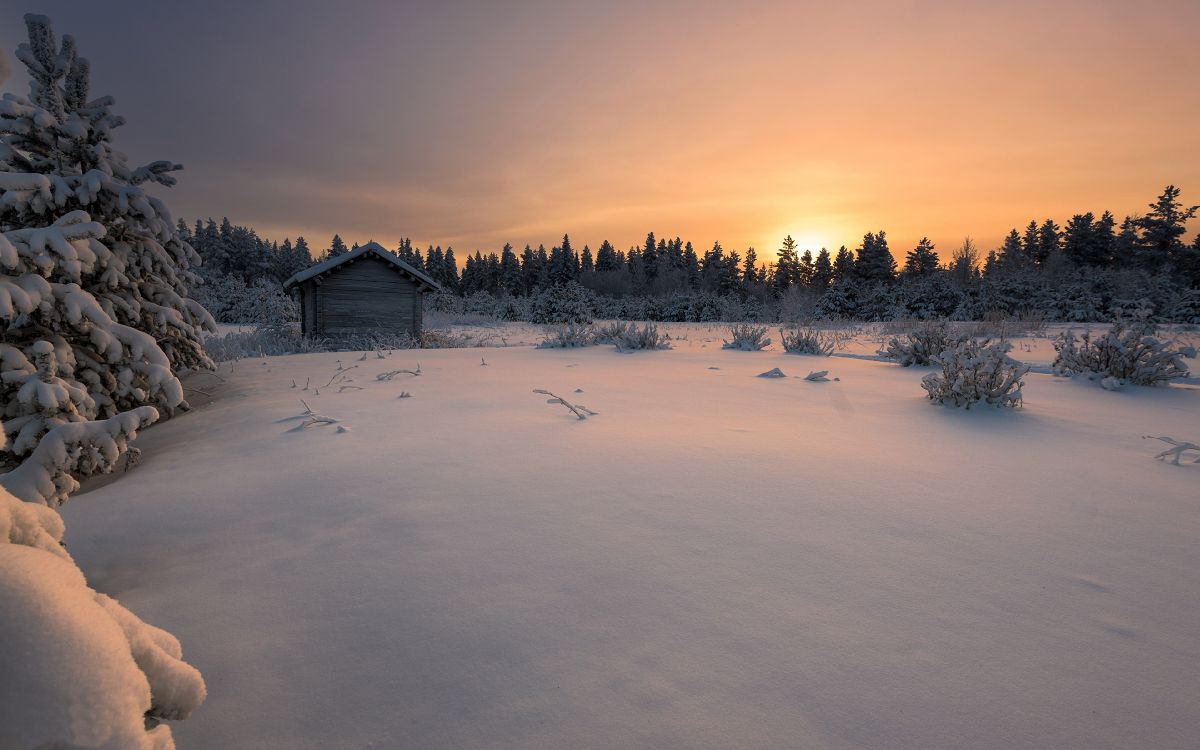 Schneebedecktes Feld Und Bäume Tagsüber. Wallpaper in 3840x2400 Resolution
