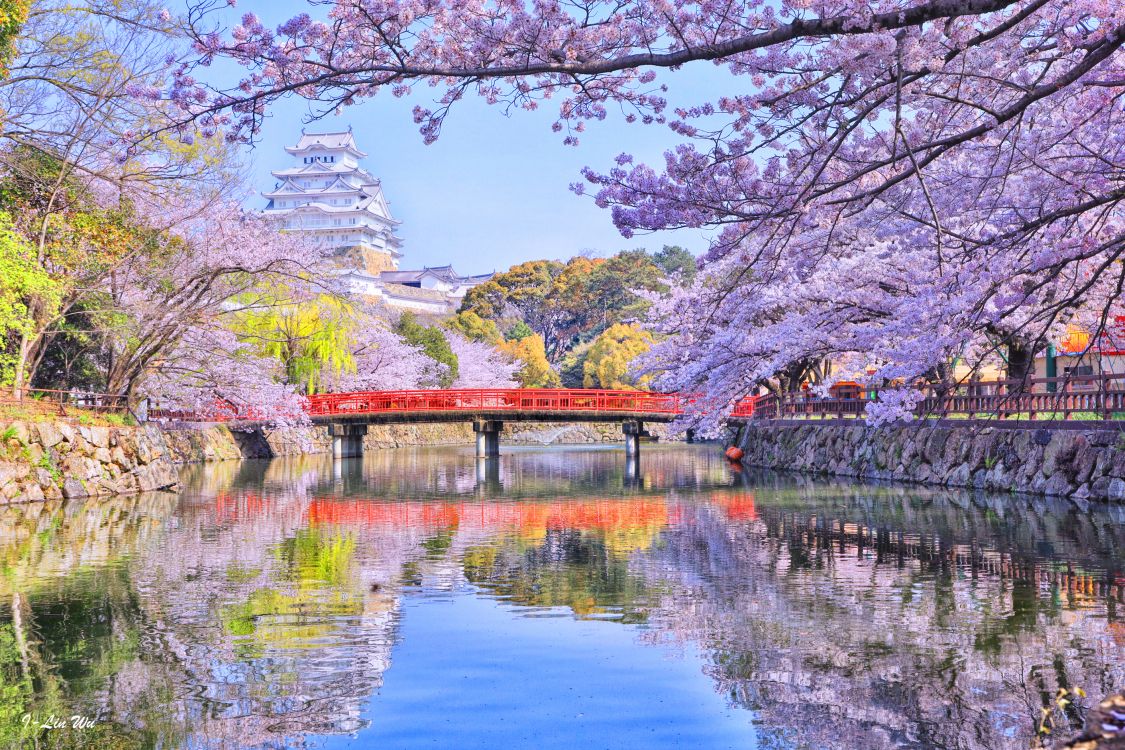 Braune Holzbrücke Über Den Fluss. Wallpaper in 2825x1882 Resolution