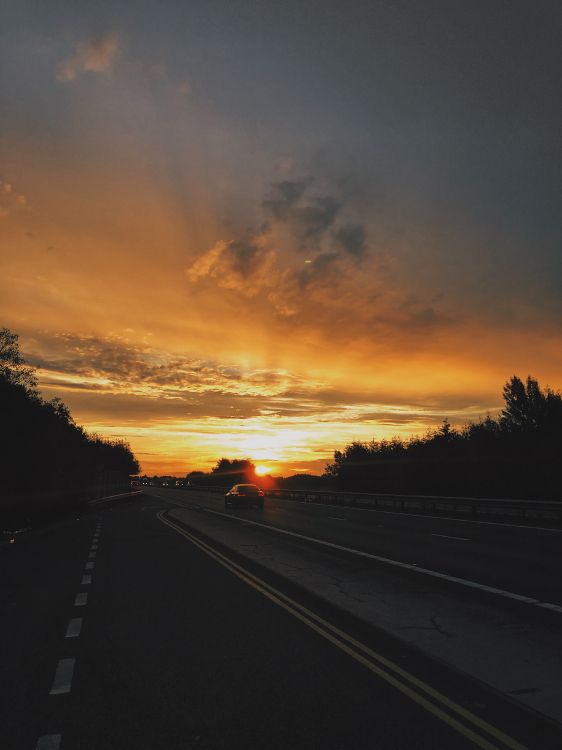 Silhouette D'arbres au Coucher du Soleil. Wallpaper in 3024x4032 Resolution