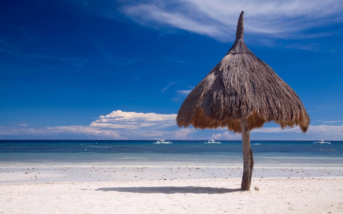 brown beach umbrella on white sand beach during daytime