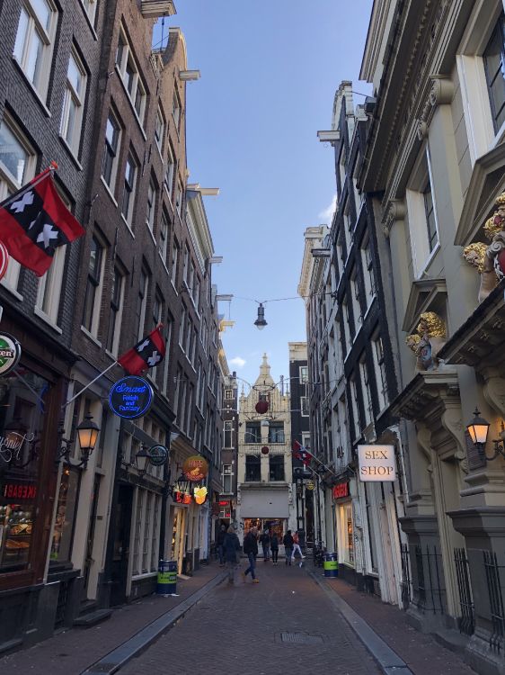 Sacre-Cur, Montmartre, Road, Stadt, Fenster. Wallpaper in 2936x3915 Resolution