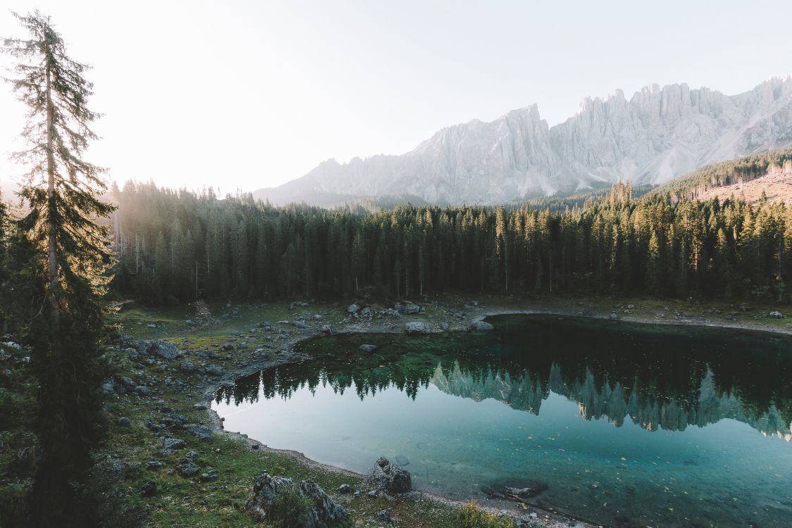 Sapin, Forêt, Lac, Paysage Naturel, Nature. Wallpaper in 5760x3840 Resolution
