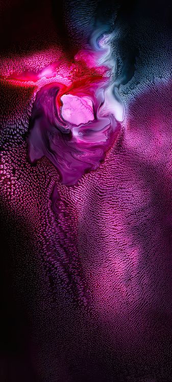 Licht, Purpur, Veilchen, Pink, Blütenblatt. Wallpaper in 1080x2400 Resolution