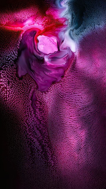 Image light, purple, violet, pink, petal