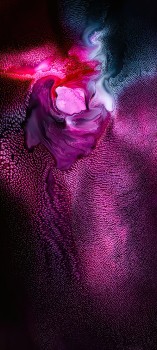Les Fonds D’écran Lumière, Purple, Violette, Pink, Pétale, Les Images