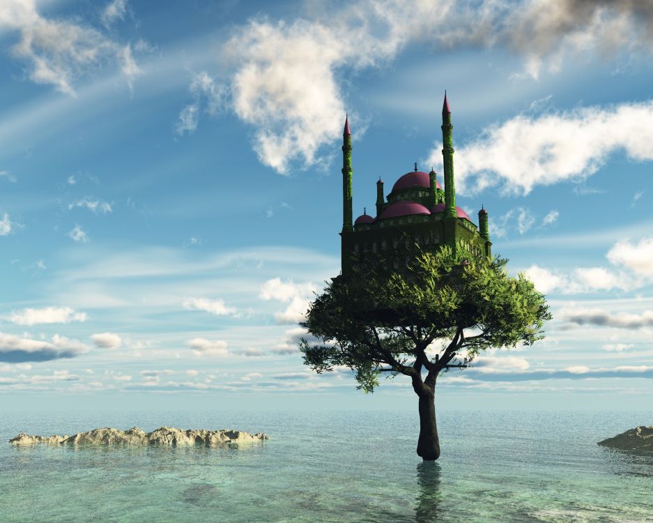 Baum, Meer, Cloud, Ruhe, Urlaub. Wallpaper in 3000x2400 Resolution