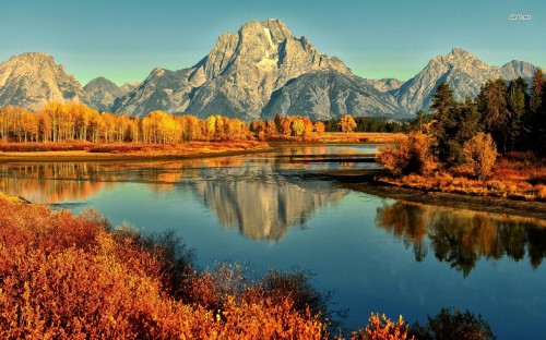 Image lake surrounded by trees and mountains during daytime