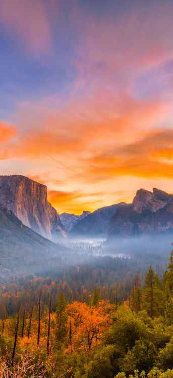el Parque Nacional de Yosemite, el Valle de Yosemite, el Parque Nacional De, Parque, Naturaleza. Wallpaper in 1464x3200 Resolution