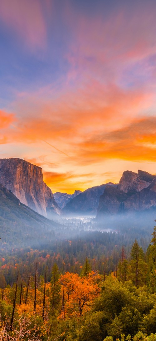 Image yosemite national park, yosemite valley, national park, park, nature