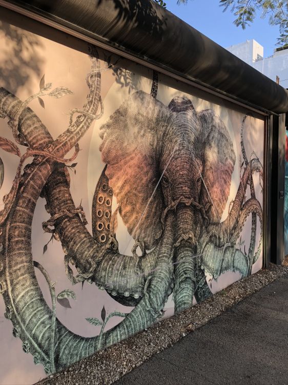 Arte, el Arte de la Calle, Grafiti, Mural, Pintura. Wallpaper in 1536x2048 Resolution