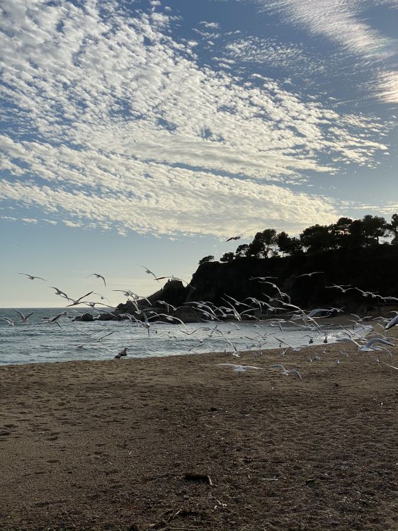 Mer, Eau, Plage, Corps de L'eau, Nature. Wallpaper in 1536x2048 Resolution