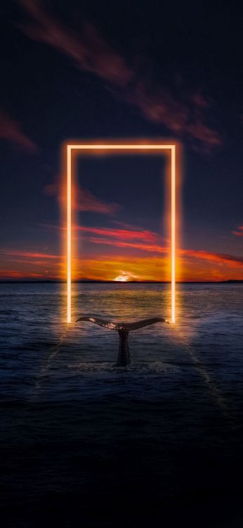 Agua, Ambiente, Afterglow, la Luz Del Sol, Puesta. Wallpaper in 1080x2340 Resolution