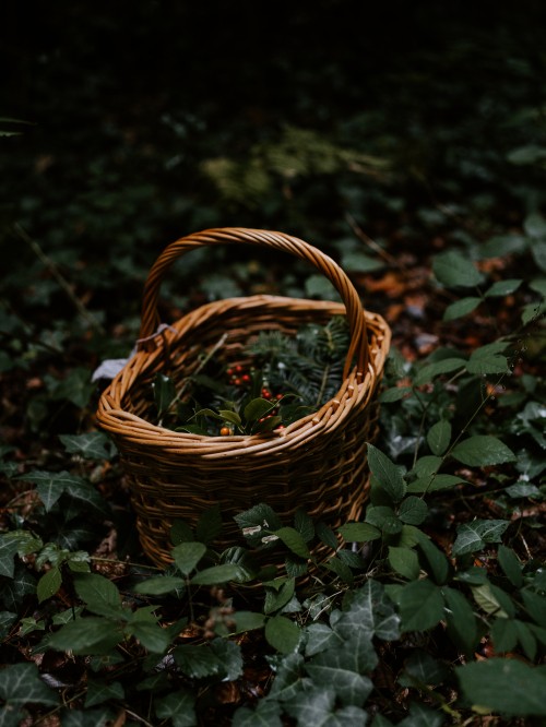 Image brown woven basket on green leaves