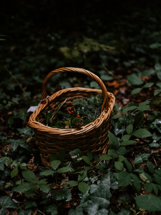 brown woven basket on green leaves